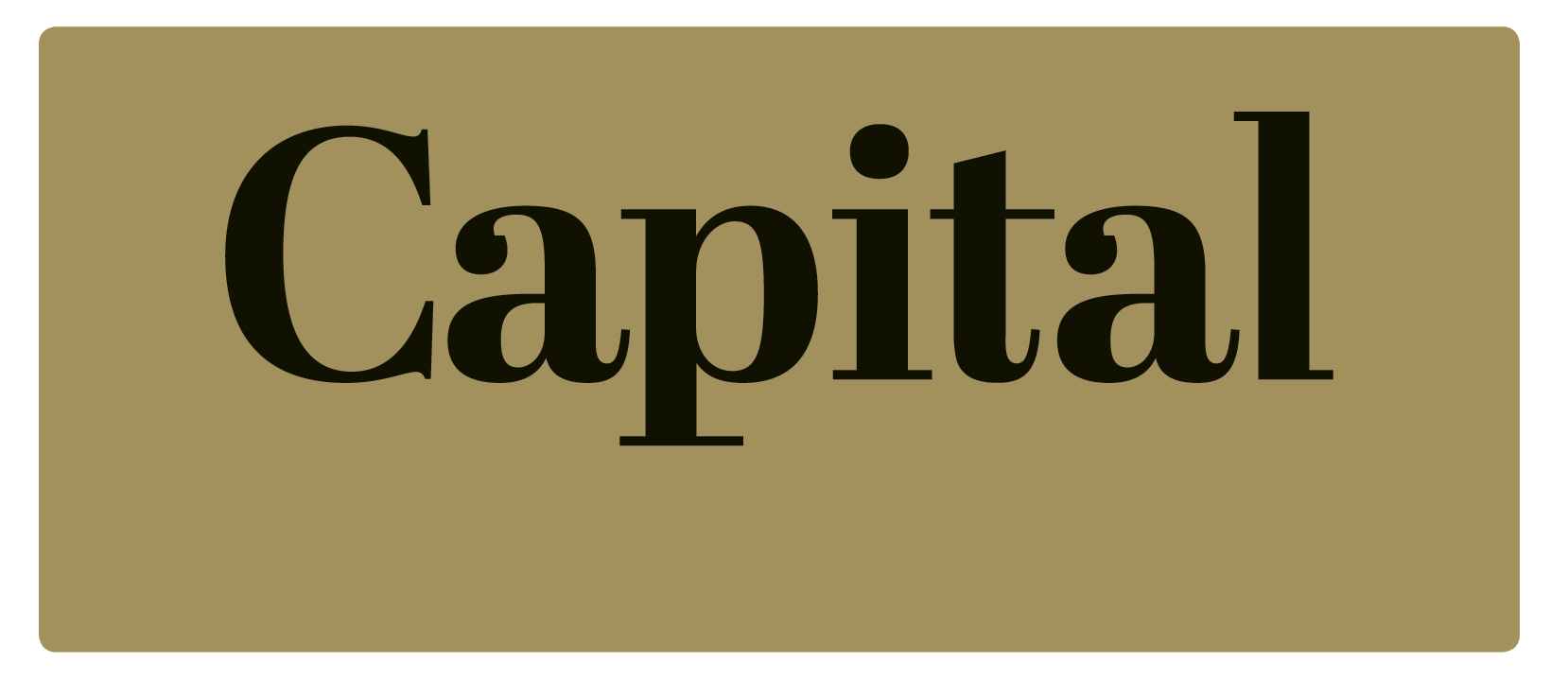 Capital logo